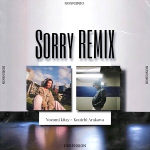 Kouichi Arakawa的专辑Sorry (feat. Kouichi Arakawa) [Remix]