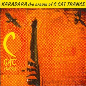 收聽C Cat Trance的Cold歌詞歌曲