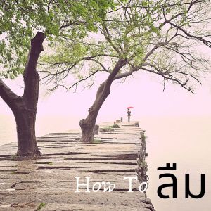 อัลบัม How To ลืม (Remix) ศิลปิน LEGENDBOY