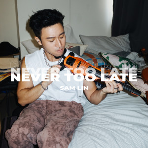收聽林仲軒的Never Too Late歌詞歌曲