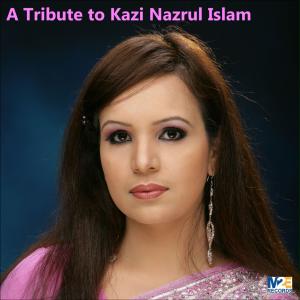 Listen to Anadi Kal Hote song with lyrics from Amia Matin