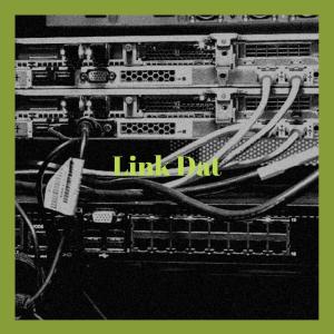 Various的专辑Link Dat