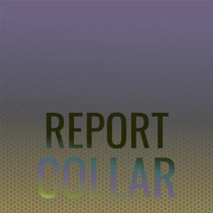 Dengarkan lagu Report Collar nyanyian Dorota Muin dengan lirik