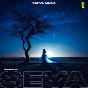Sativa Music的專輯Seya (Sped up)