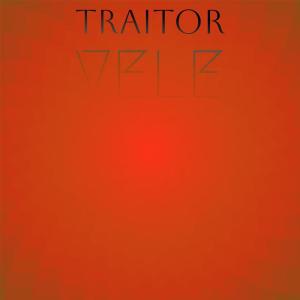 Album Traitor Vele from Various