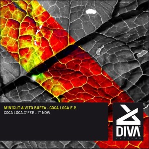Listen to Feel It Now (Original Mix) song with lyrics from Vito Buffa