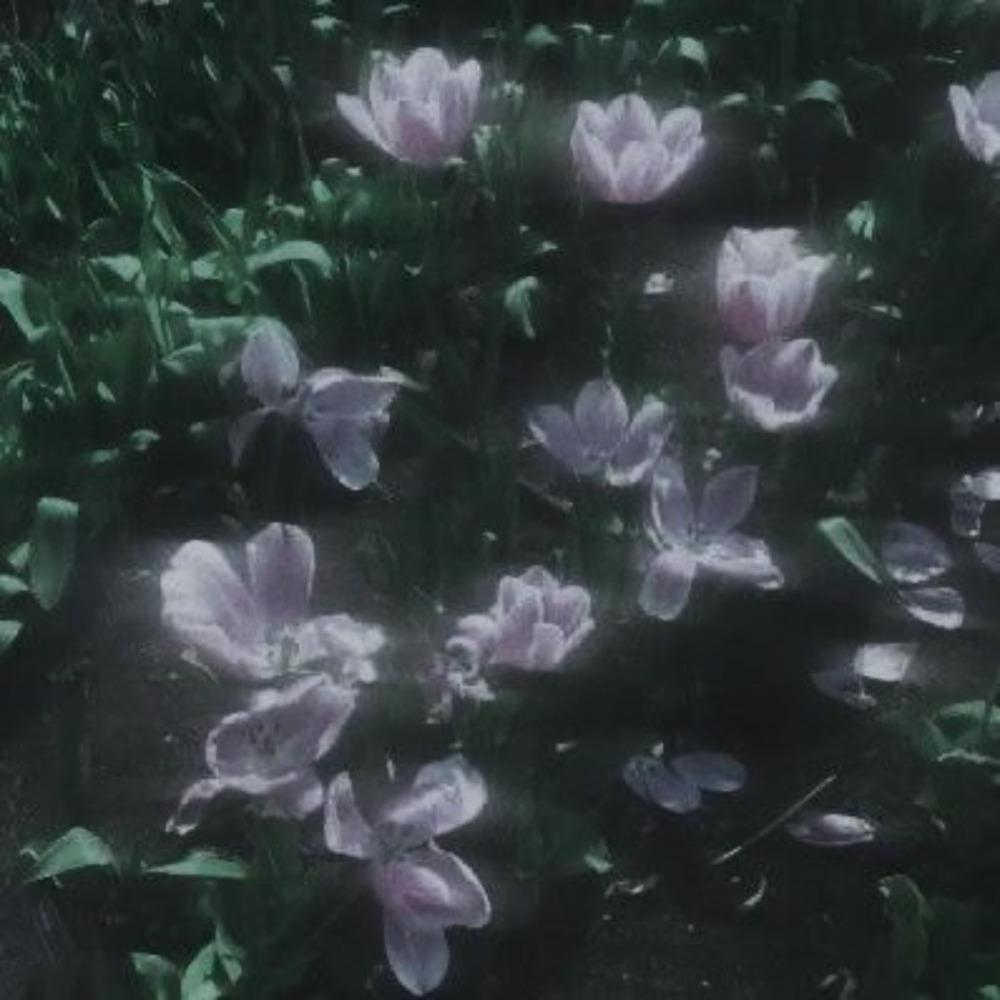 whatever it takes (feat. convolk, guardin, Jakkyboí, 9tails & halberd) (slowed & reverb) (Explicit)