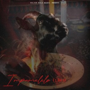 Dj Kayd Boizen的专辑IMPUMELELO (3 IN 1)