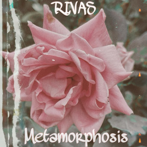 Album Metamorphosis from "Rivas"