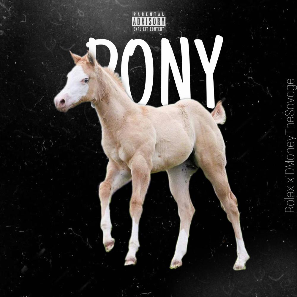 Pony (feat. DMoneyTheSavage) (Explicit)