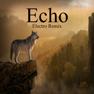 Listen to Echo song with lyrics from Dj Electronic