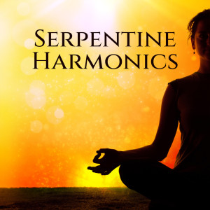 Kundalini Yoga Group的专辑Serpentine Harmonics