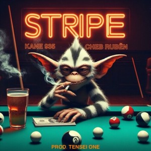 Album Stripe (Explicit) from Kane 935