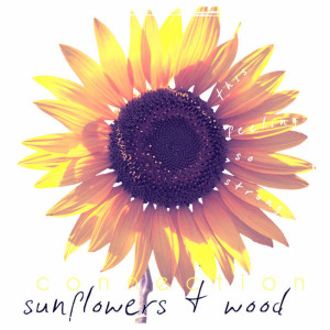 收聽Tony Moss的Sunflowers & Wood歌詞歌曲
