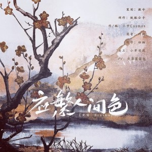 Album 应繁人间色 from Braska