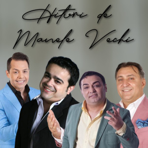收听Vali Vijelie的cele mai bune manele vechii ale anilor 90歌词歌曲