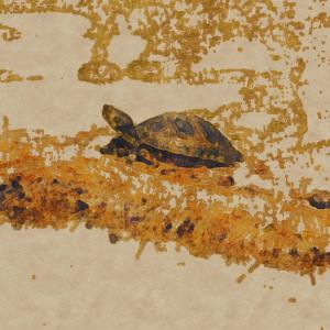 收聽Schmitt的A歌詞歌曲