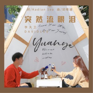 收聽李大衛的突然流眼淚 (Demo)歌詞歌曲