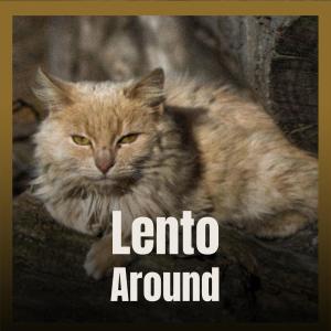 Album Lento Around from Various