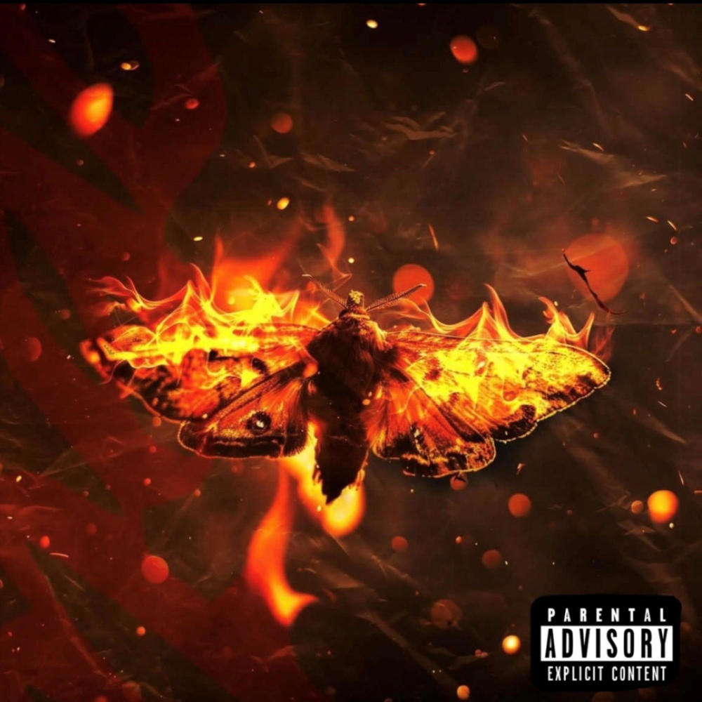 Devul Wayz (Explicit)