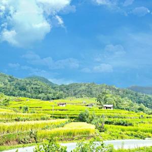 Listen to Suasana Pedesaan Tenang song with lyrics from NYong Niode