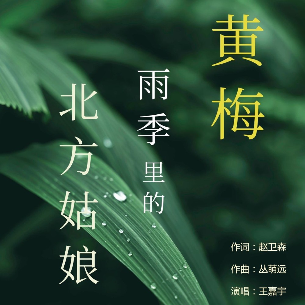 北方姑娘 (伴奏)