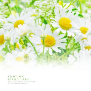 Album Study Music To Comfort The Weary Mind (Healing Piano) from Various Artists
