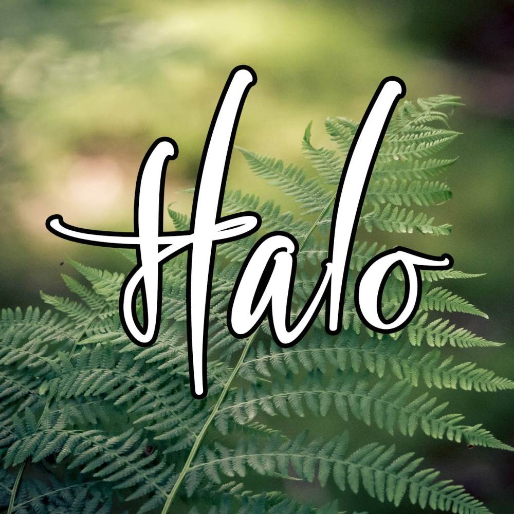 Halo (Cover)