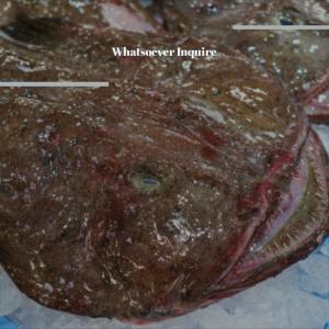 Listen to Unbound Its song with lyrics from Elang Jedo