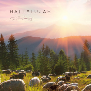 The Piano Cover Guy的專輯Hallelujah