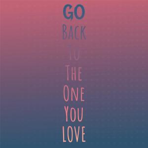Album Go Back To The One You Love from Silvia Natiello-Spiller