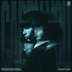 Album Carry You oleh Martin Garrix