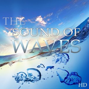 ดาวน์โหลดและฟังเพลง Sleeping Waves พร้อมเนื้อเพลงจาก Nature Sound Collection