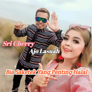 Listen to Bia Saketek Yang Penting Halal song with lyrics from Sri Cherry