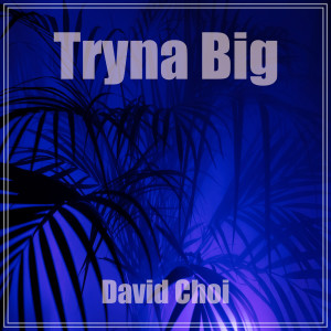 Album TRYNA BIG oleh David Choi