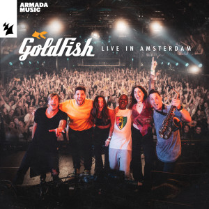 收聽Goldfish的Fort Knox (2024 Rework|Mixed)歌詞歌曲