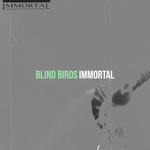 Immortal的专辑Blind Birds