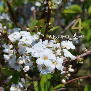 收聽YANG KI HONG的A severe winter歌詞歌曲