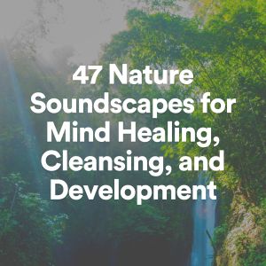 Listen to Sleeping in Nature Camping Melodies, Pt. 12 song with lyrics from Essential Nature Sounds