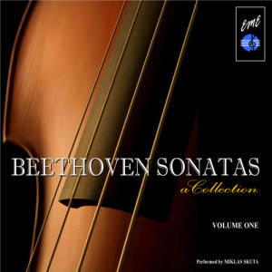 อัลบัม Beethoven Sonatas: A Collection, Vol. 1 ศิลปิน Miklas Skuta