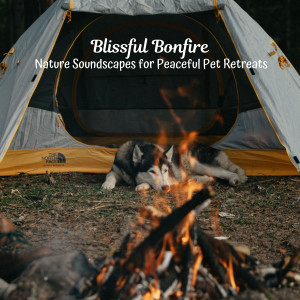 Album Blissful Bonfire: Nature Soundscapes for Peaceful Pet Retreats oleh Relaxing Pet Music