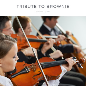 Cannonball Adderley的专辑Tribute to Brownie