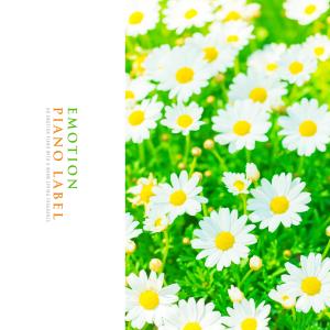 An Emotion Piano With A Warm Spring Fragrance dari Various Artists
