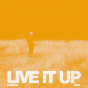 33 Below的專輯LIVE IT UP (Bushbaby Remix)