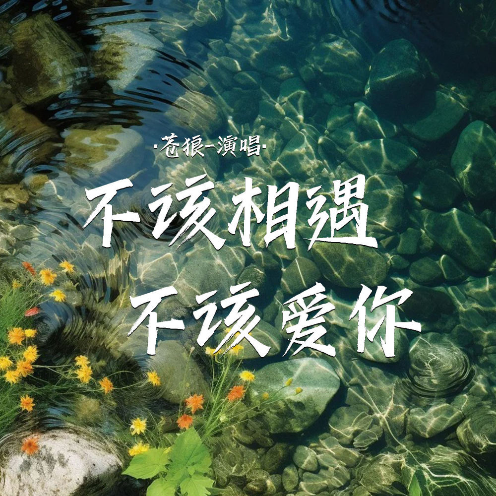 不该相遇不该爱你 (伴奏)