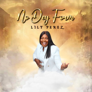 ดาวน์โหลดและฟังเพลง No Dey Form พร้อมเนื้อเพลงจาก Lily Perez