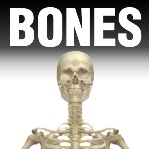收聽Various Artists的Bones歌詞歌曲