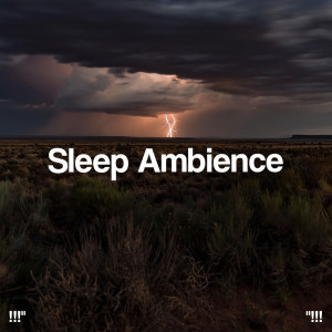 อัลบัม !!!" Sleep Ambience "!!! ศิลปิน Sounds Of Nature : Thunderstorm, Rain