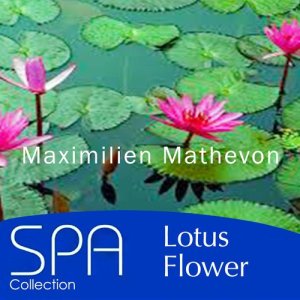 收聽Maximilien Mathevon的Ice Skating歌詞歌曲