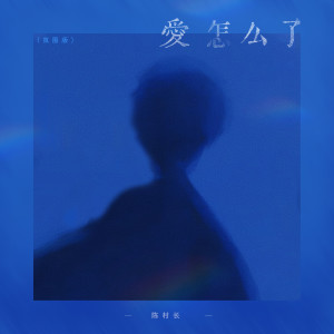 Album 爱怎么了 (氛围版) oleh 陈村长